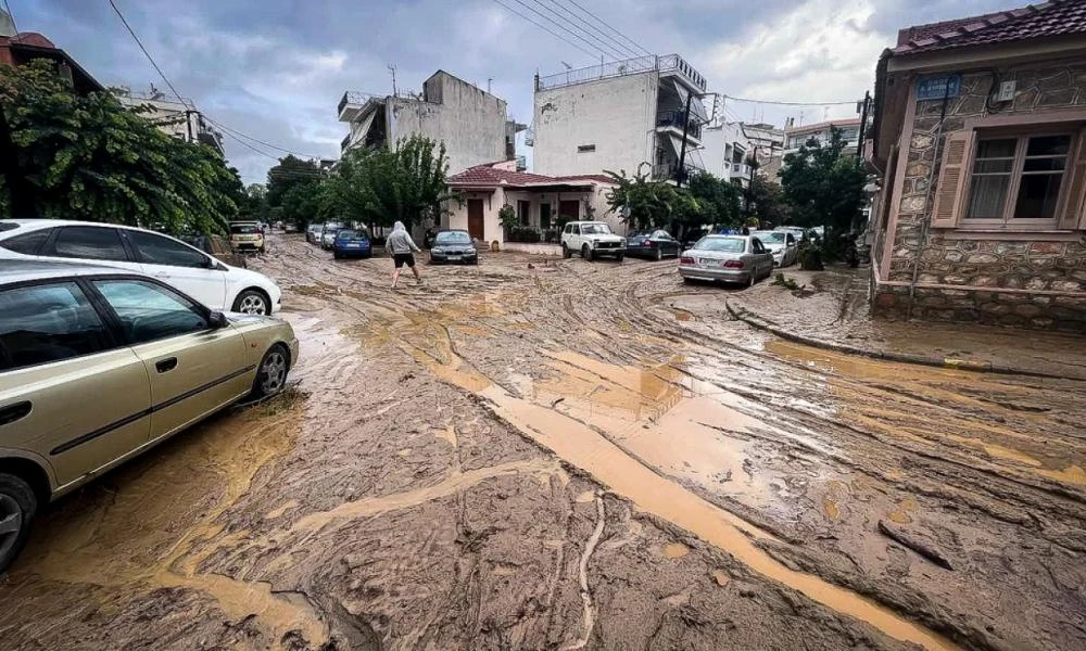Νέος συναγερμός στη Θεσσαλία: Θάνατος και νοσηλείες από λεπτοσπείρωση – Μεγάλη προσοχή οι πολίτες και τα στελέχη των ΕΔ – ΣΑ